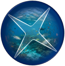 a fish eye view of the ocean