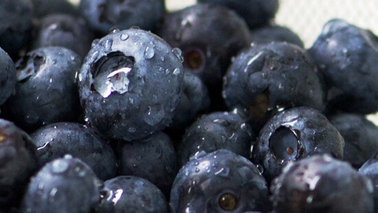 togetherwedowhatsright