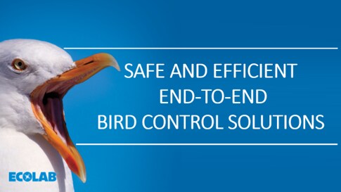 bird solutions