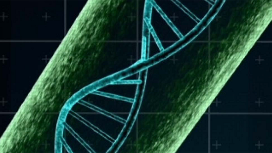 RNA/DNA Contamination Control